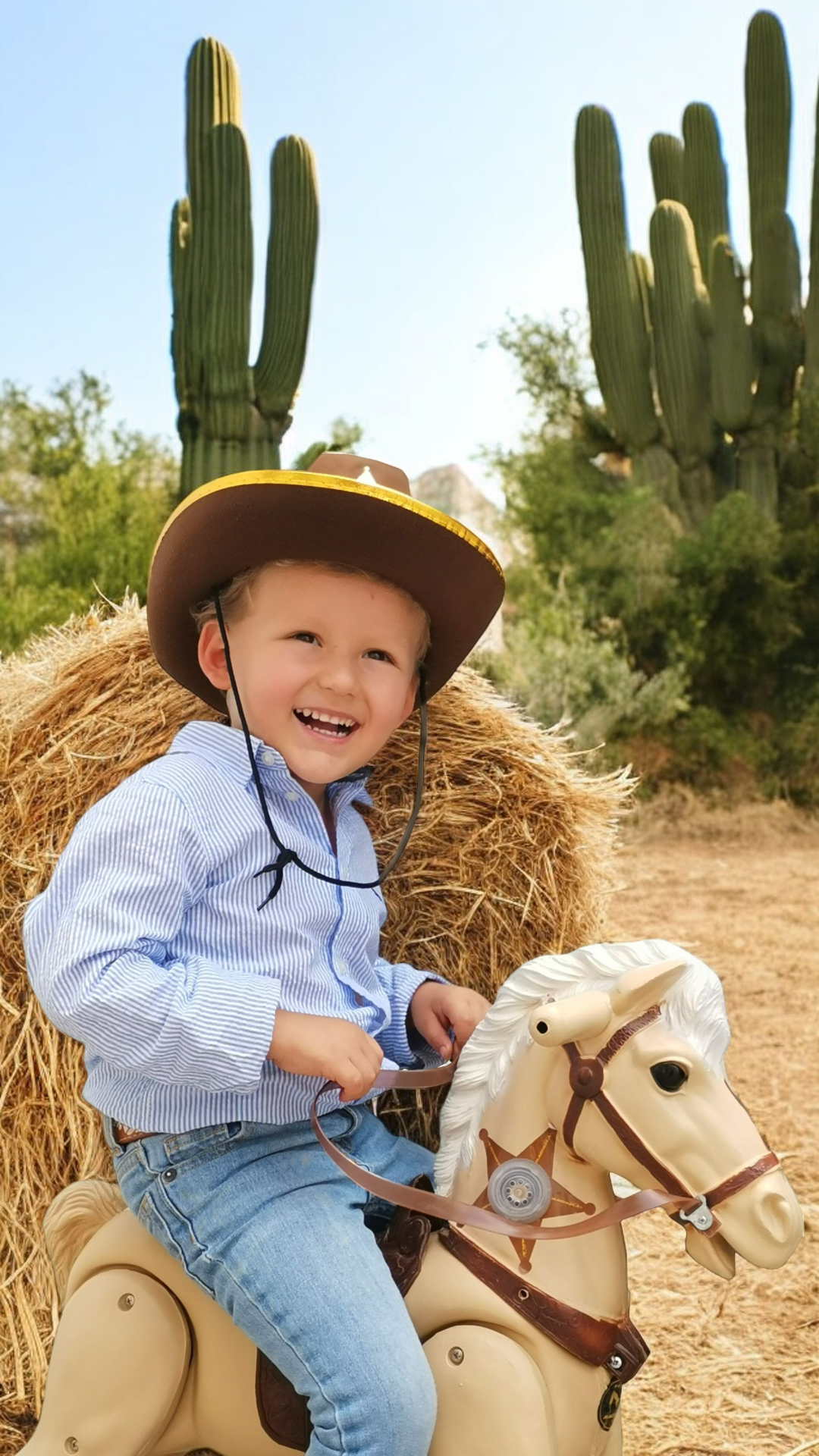 CABALLO MONTABLE BRONKO MACHUKA