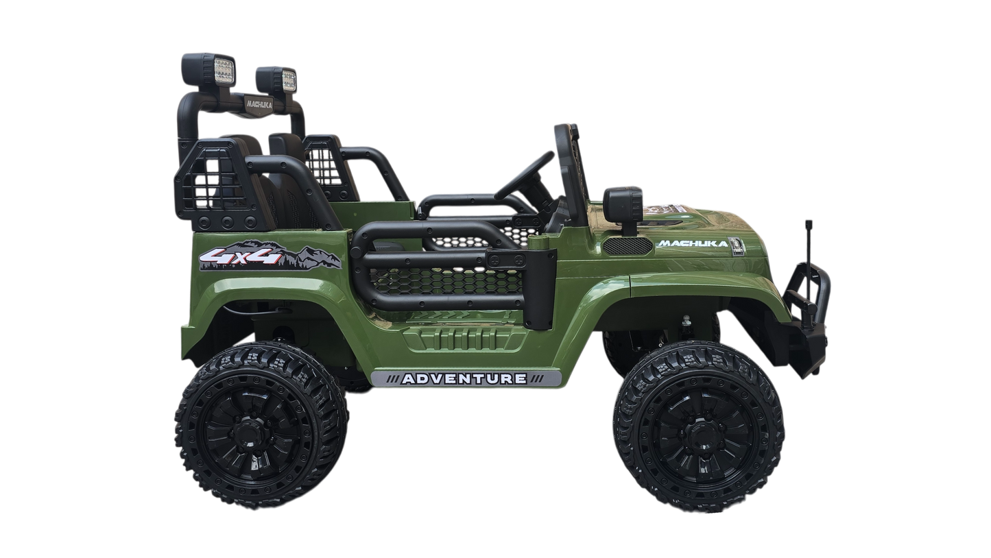CARRO ELÉCTRICO 2 PASAJEROS COMBAT-25