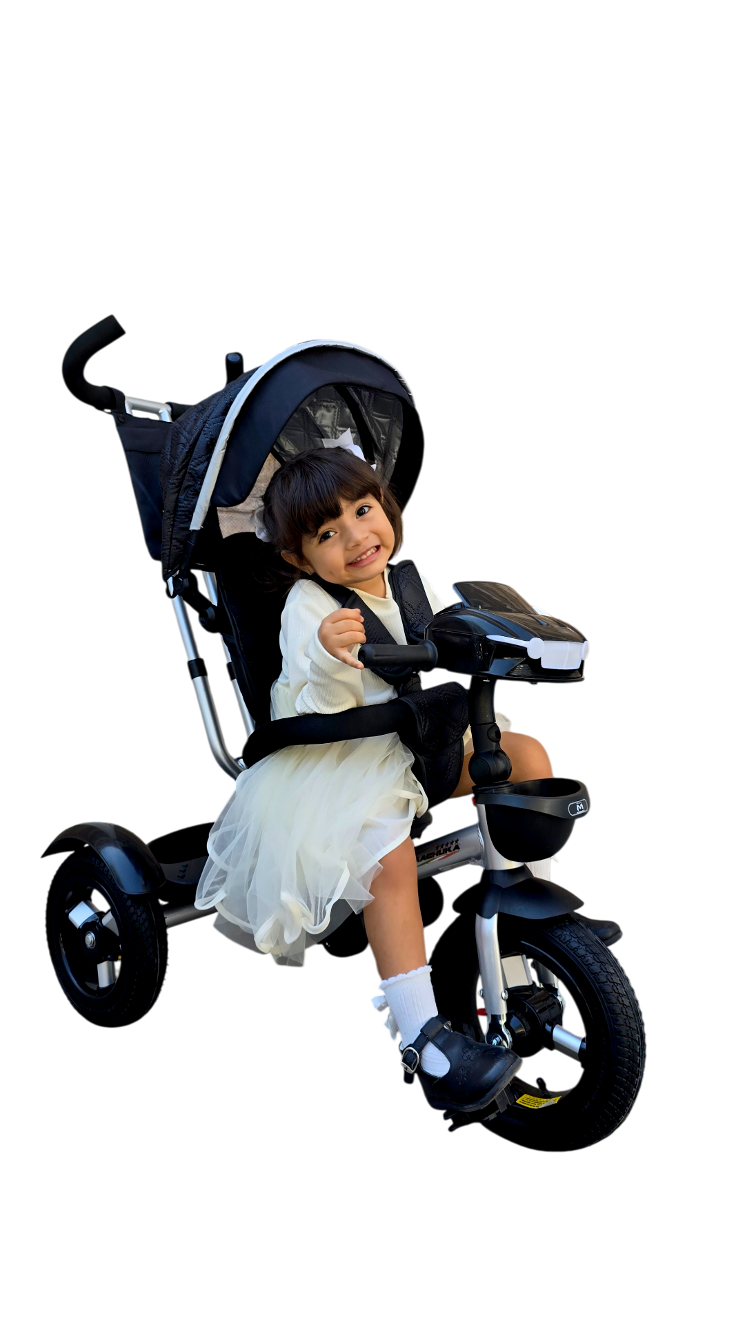 TRICICLO LUXE-25 LLANTA DE AIRE R-12 CON TOLDO
