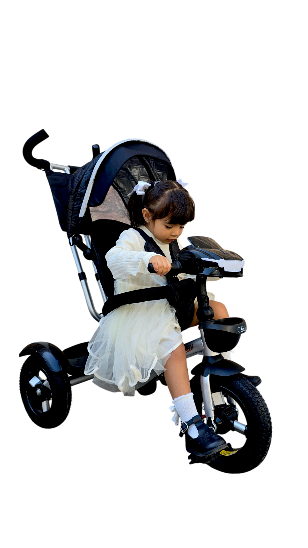 TRICICLO LUXE-25 LLANTA DE AIRE R-12 CON TOLDO