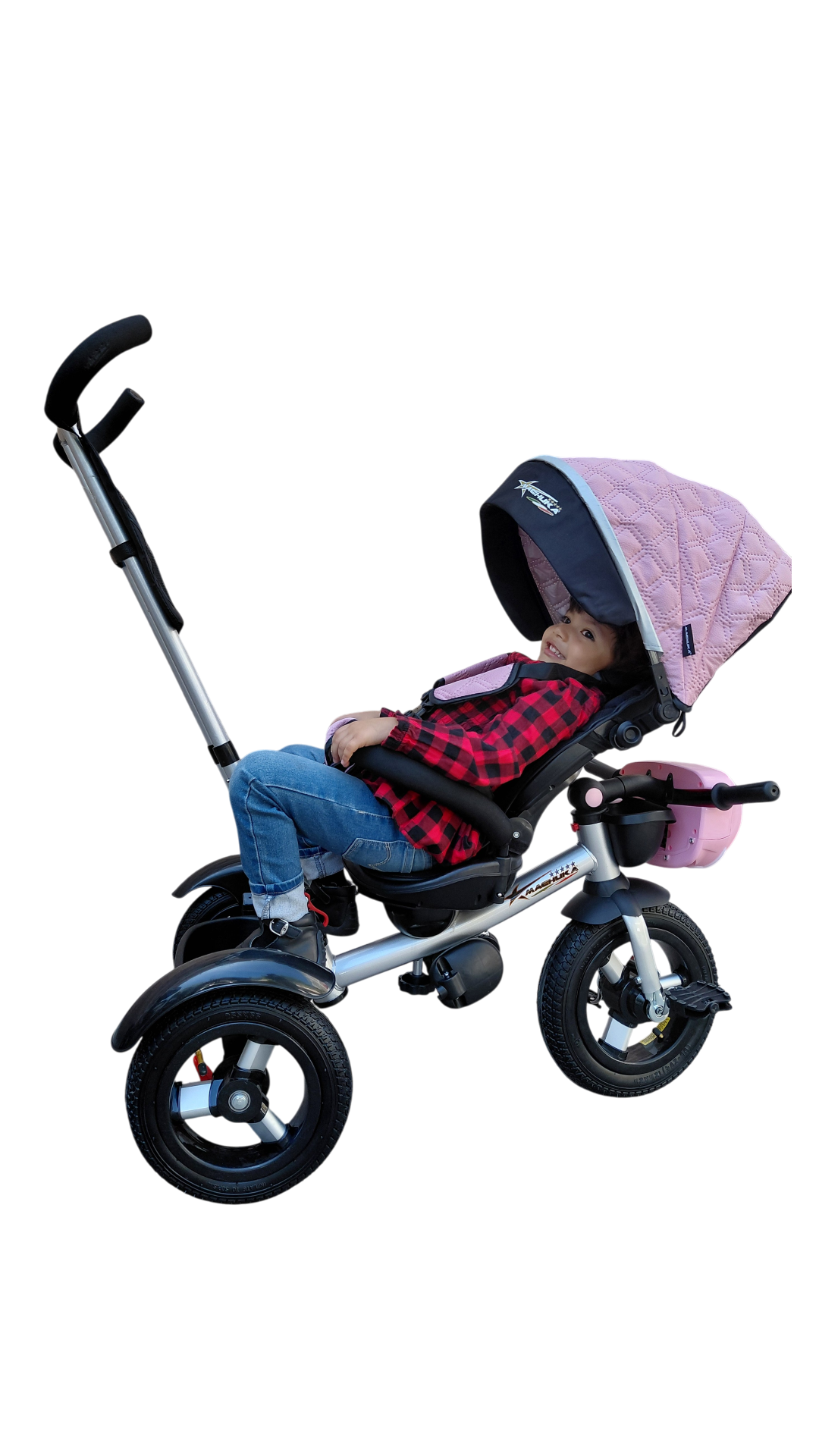 TRICICLO LUXE-25 LLANTA DE AIRE R-12 CON TOLDO