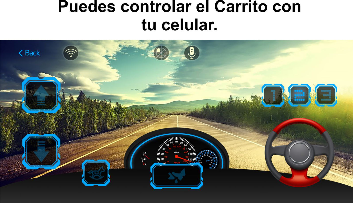 Carrito Go Kart Mini Campeón 12V C/Control Remoto