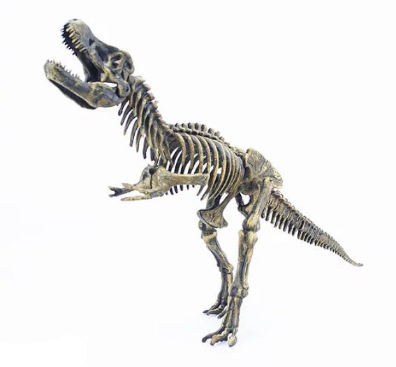ESQUELETO DINO TIRANO