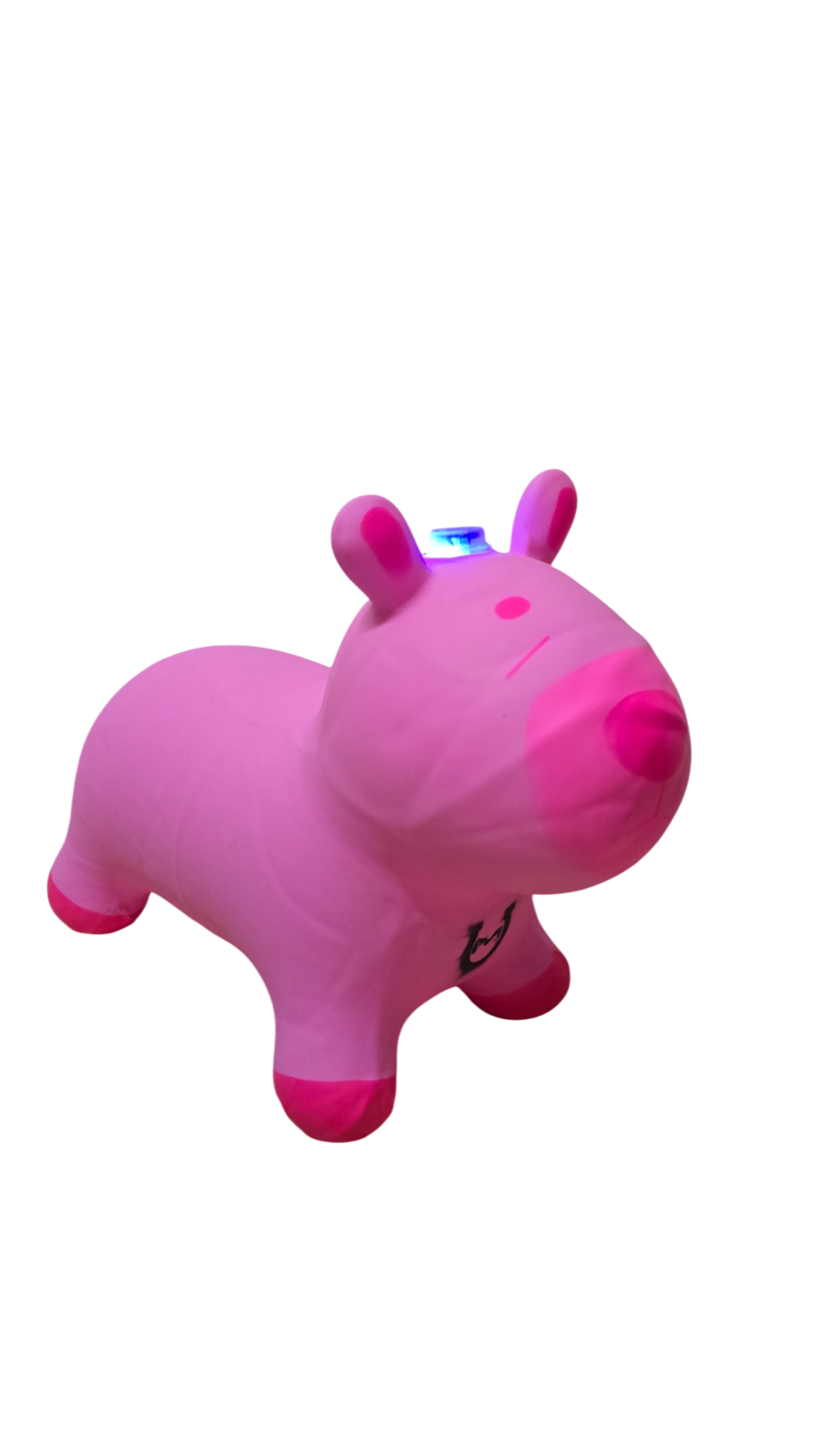 CAPIBARA MONTABLE INFLABLE BOTADOR MACHUKA