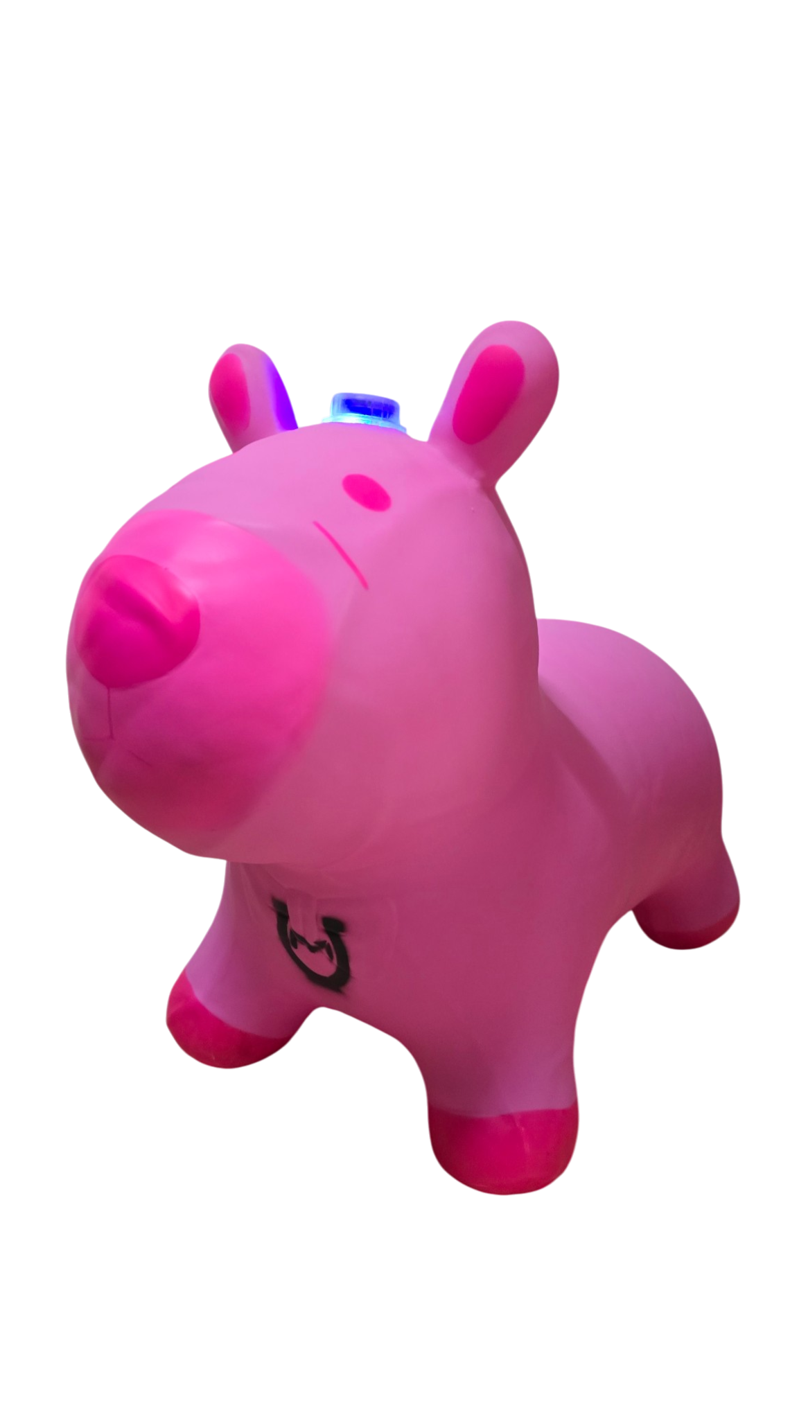 CAPIBARA MONTABLE INFLABLE BOTADOR MACHUKA