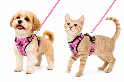 JUEGO SET ARNÉS Y CORREA PARA MASCOTA KIRASET DUOPETS