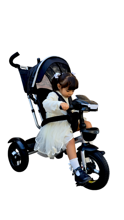 TRICICLO LUXE-25 LLANTA DE AIRE R-12 CON TOLDO