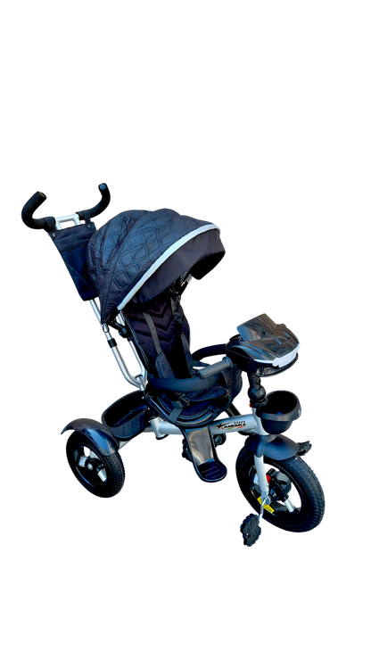 TRICICLO LUXE-25 LLANTA DE AIRE R-12 CON TOLDO