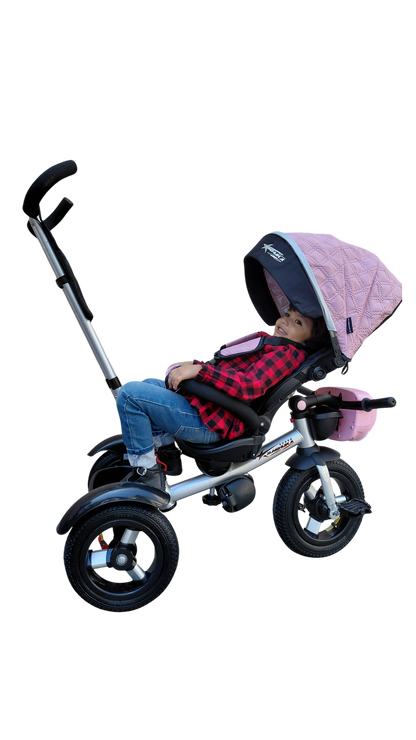 TRICICLO LUXE-25 LLANTA DE AIRE R-12 CON TOLDO