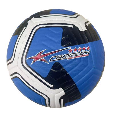 Balón Deportivo de Fútbol Alto Relieve Trébol 12 Gajos PU
