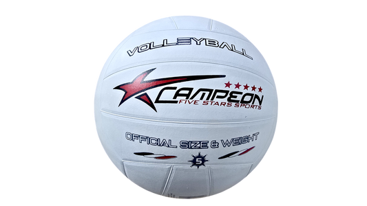 BALÓN DE VOLEIBOL 18 PANELS PVC