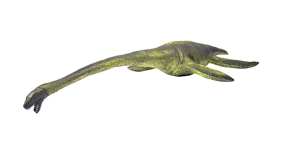 ELASMOSAURUS ACUATICO