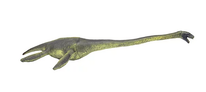 ELASMOSAURUS ACUATICO