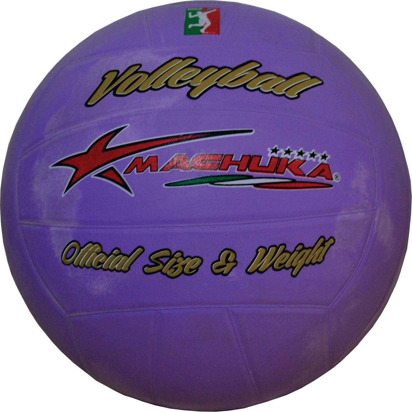 BALÓN DE VOLLEYBALL